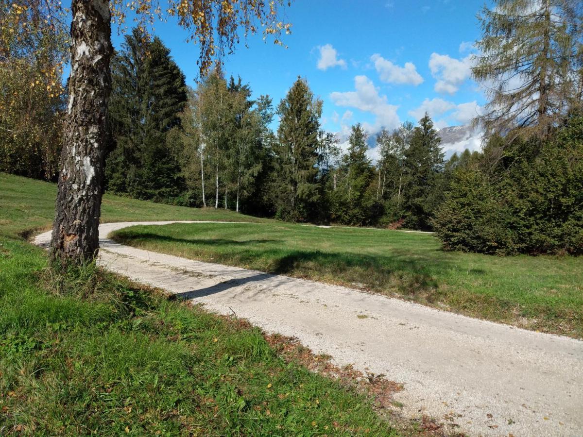 Al Salt Villa Белуно Екстериор снимка